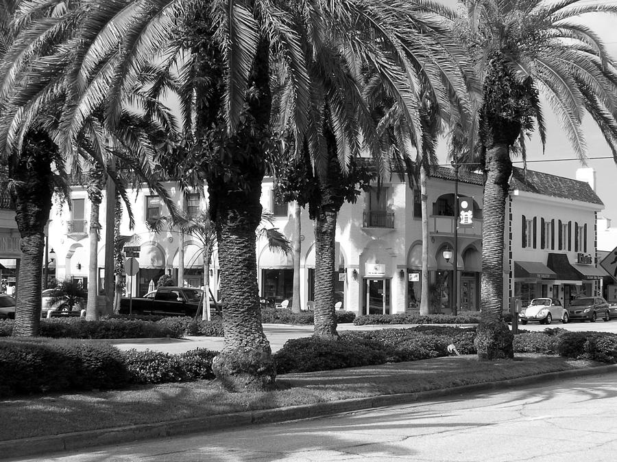 Downtown Historic Venice Florida Photograph