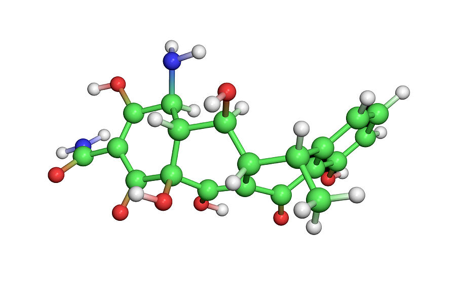 Antibiotic Doxycycline