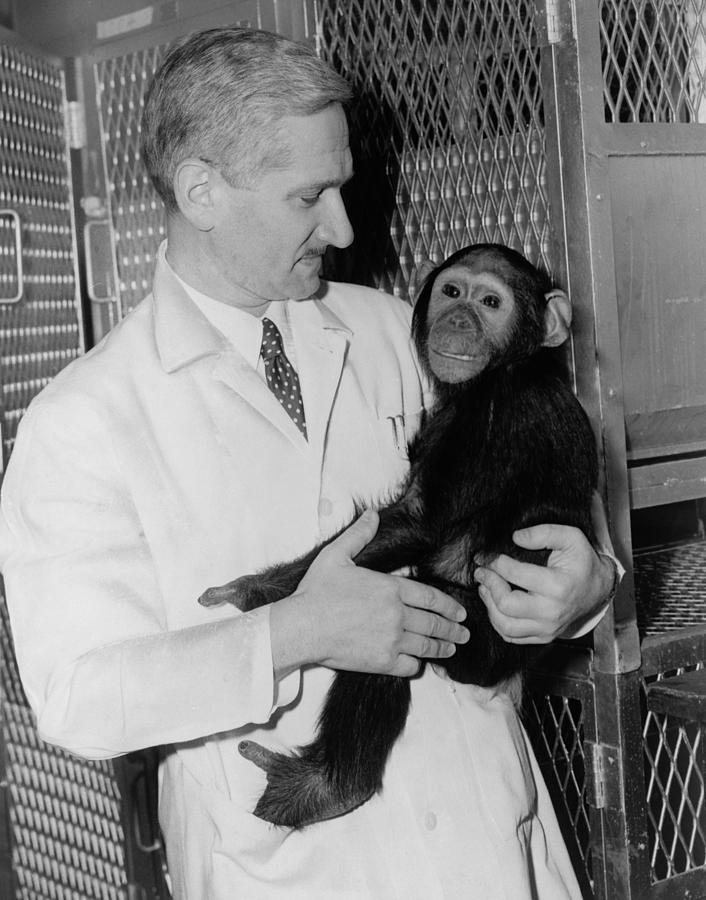 Dr. Albert B. Sabin Holding Photograph By Everett