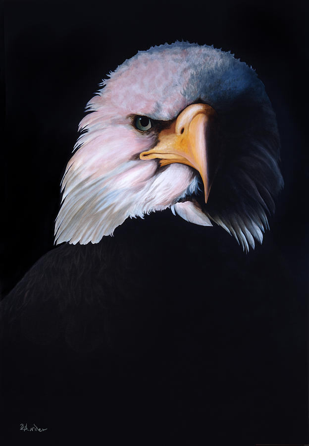Eagle Eye by Brent Ander