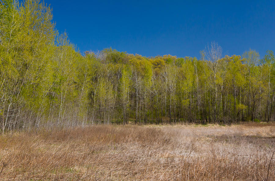 Early Spring At The Marsh Photograph By Ken Wolter Fine Art America