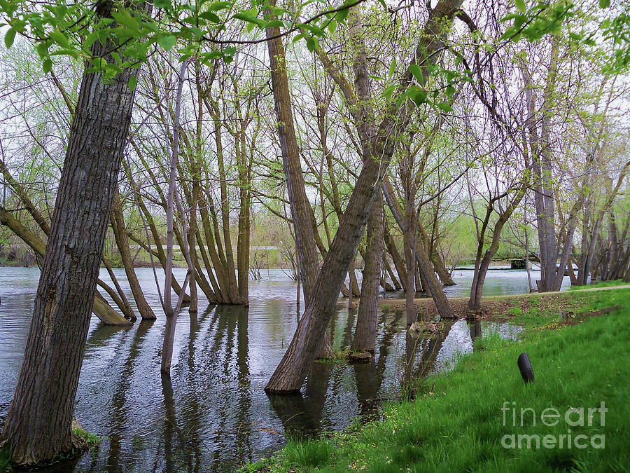 Early Spring Photography