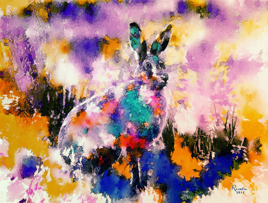 Hare Paintings