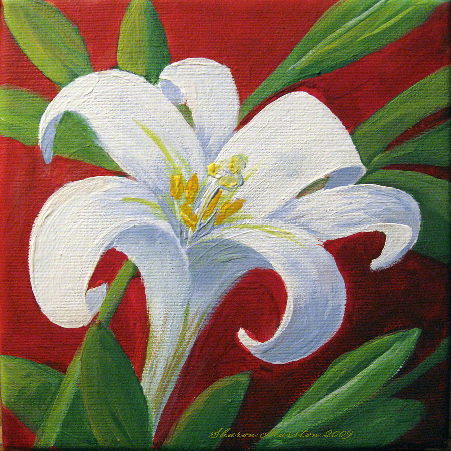 Easter Lily by Sharon Marcella Marston