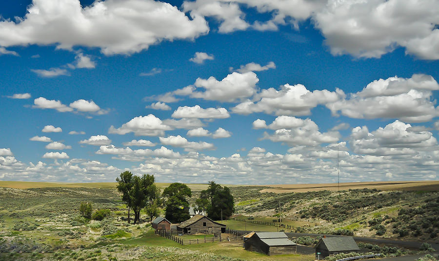 Eastern Washington Farmland Photograph by Ronda Broatch