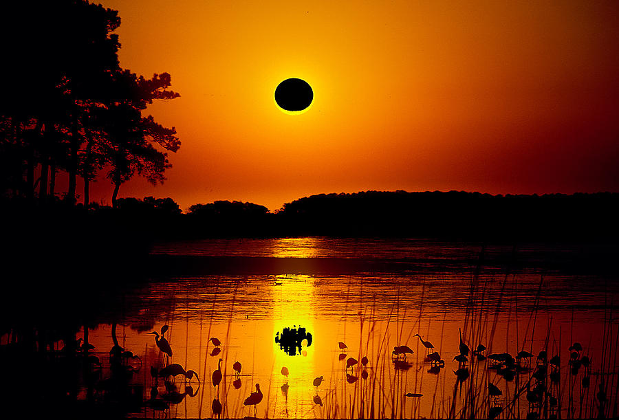 Eclipse Over Water Photograph by Floridas Best Images