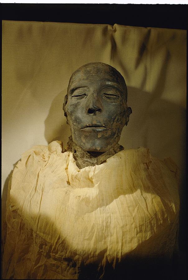 pharaoh mummy