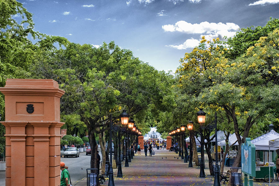 http://images.fineartamerica.com/images-medium-large/el-paseo-de-la-princesa-old-san-juan-puerto-rico-frank-feliciano.jpg