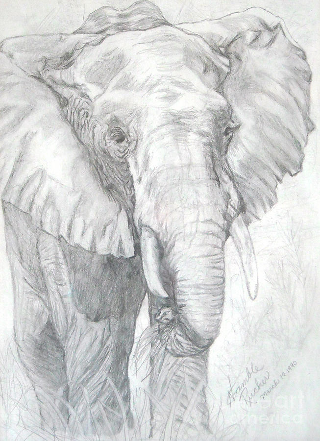 sketch of an elephant