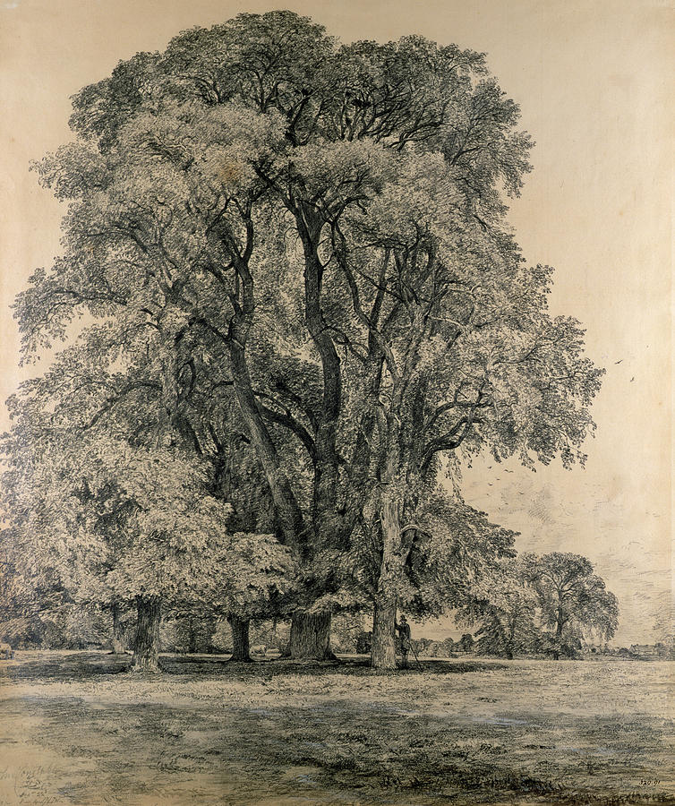 John Constable Sketches