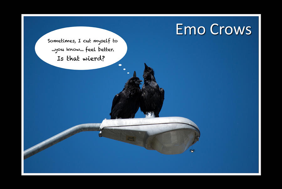 emo crow