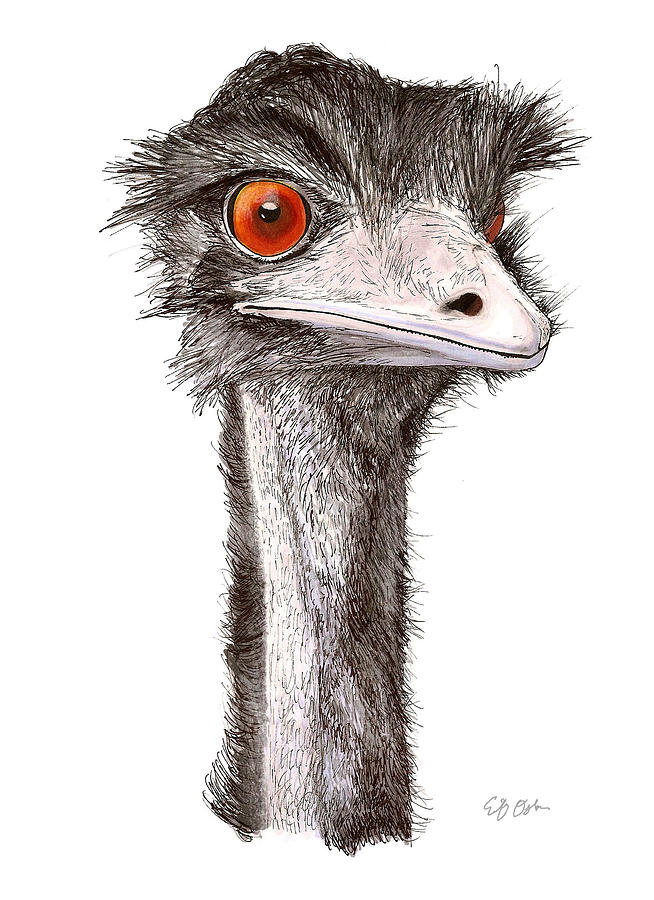 Emu by Emily Osborne