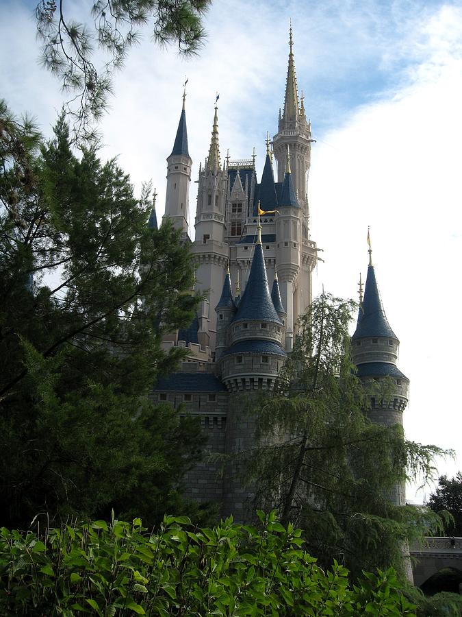 disney princess fairy tale castle