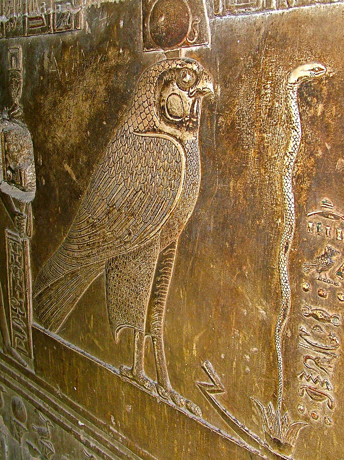 Horus Images