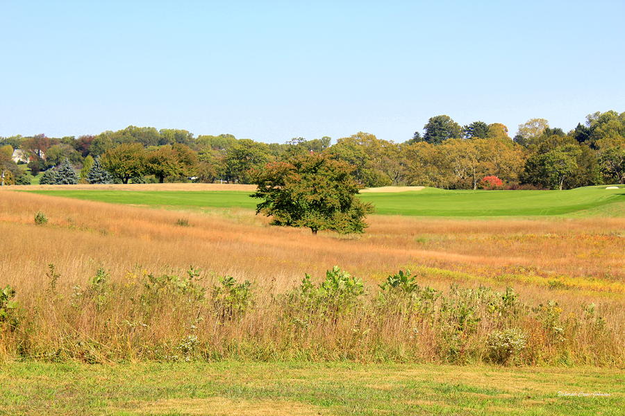 Fall Field