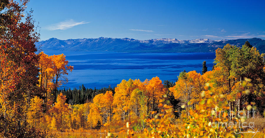  - fall-lake-tahoe-vance-fox