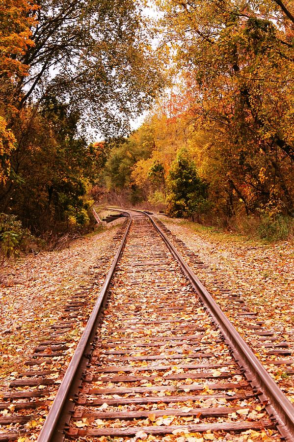 Fall Railroad Tracks