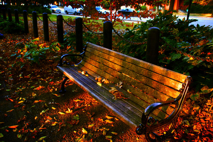 park bench scene