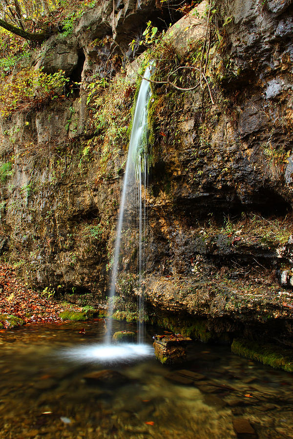 Falling Spring Waterfall In The Missouri Ozarks Photograph By Greg Matchick