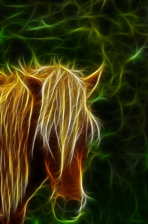 fantasy-horse-paul-ward.jpg