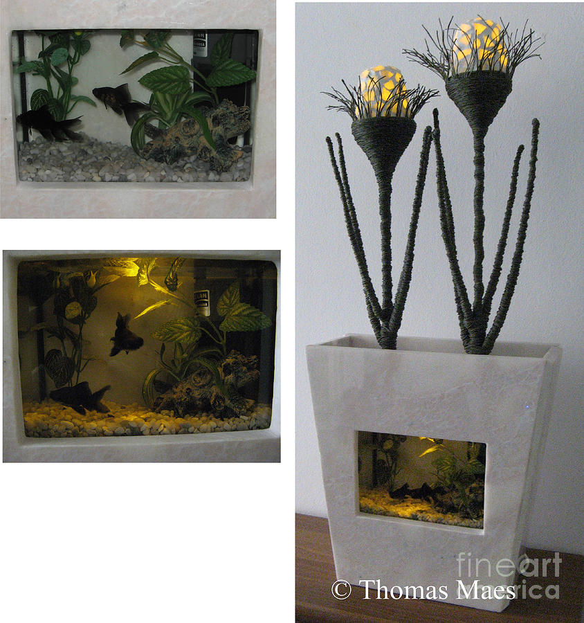  - fauna-and-flora-aquarium-sculpture-thomas-maes