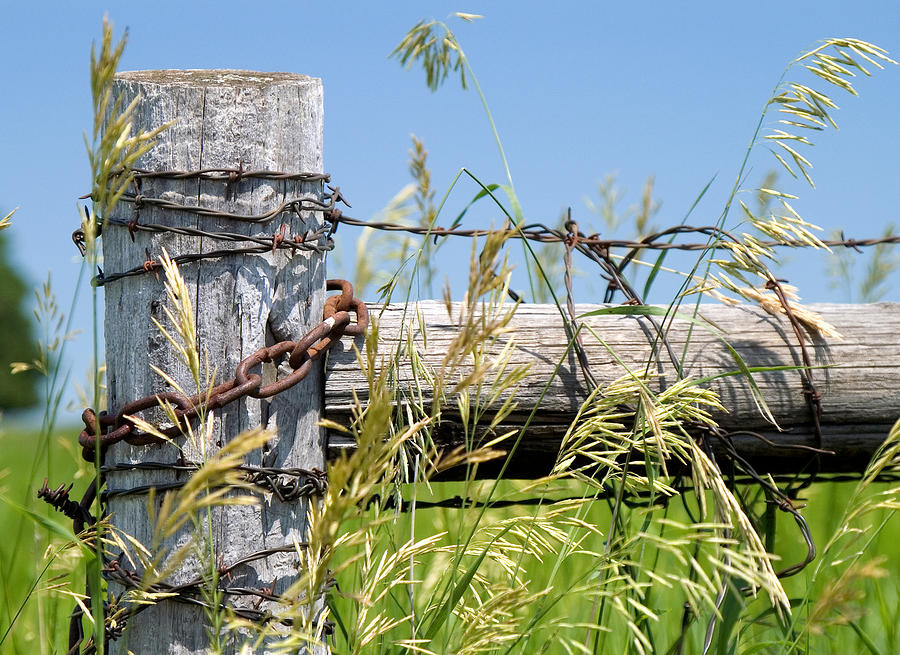 fence post images