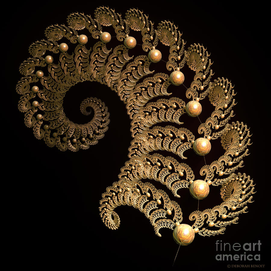 Fern Spiral