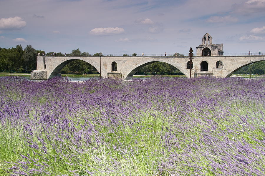  - field-of-lavenders-and-st-benezets-bridge-by-johan-krijgsman-the-netherlands