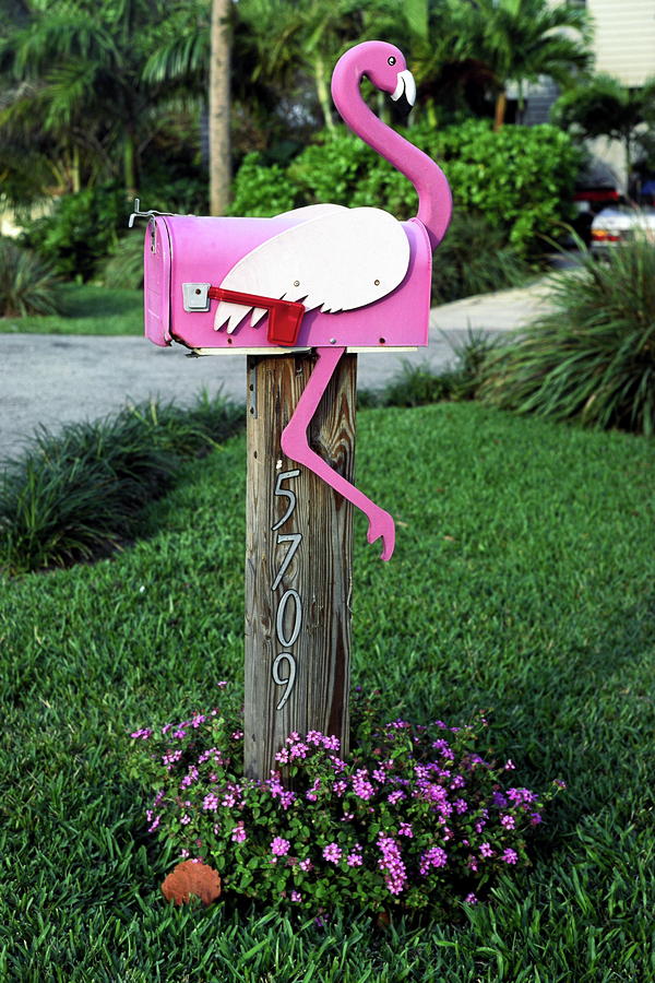Flamingo Mailbox by Sally Weigand
