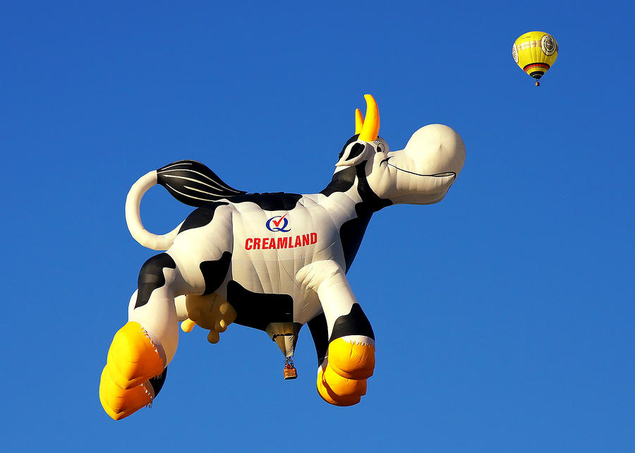 Image result for cow hot air balloon