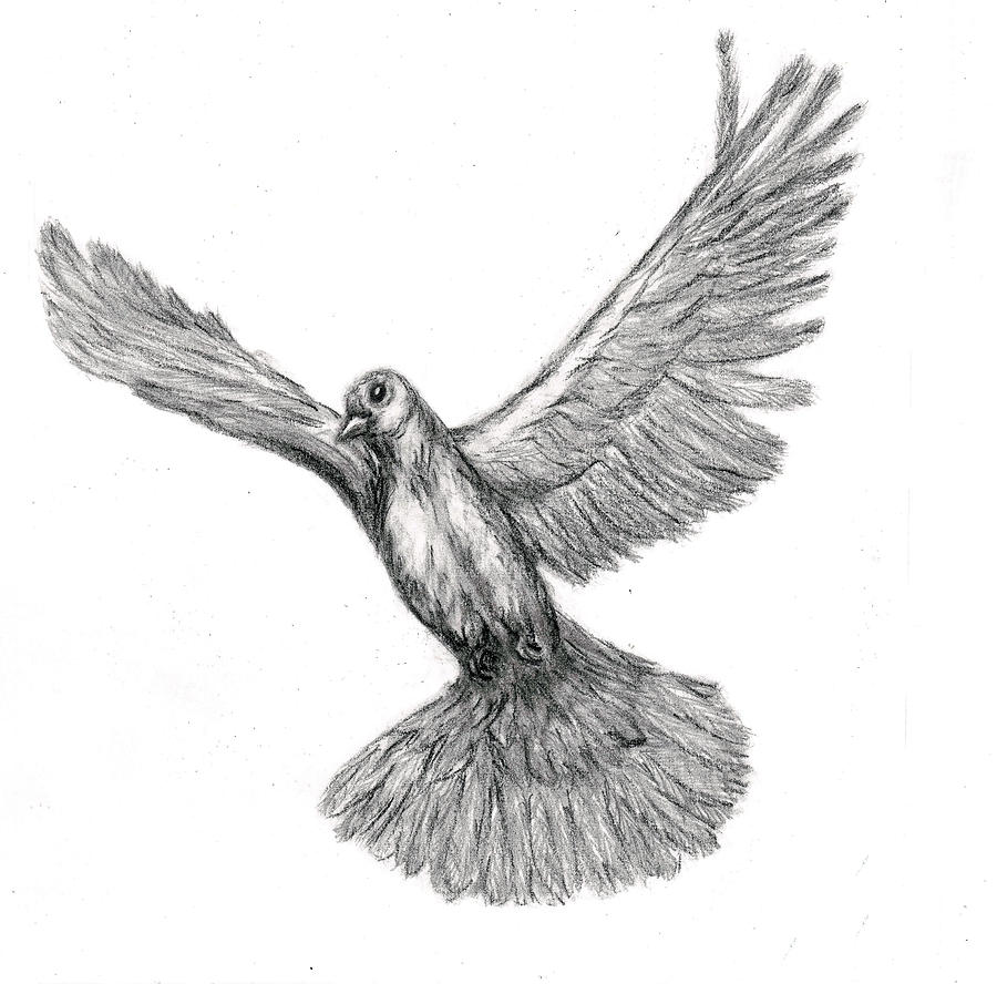 Flying Dove by Joy Neasley