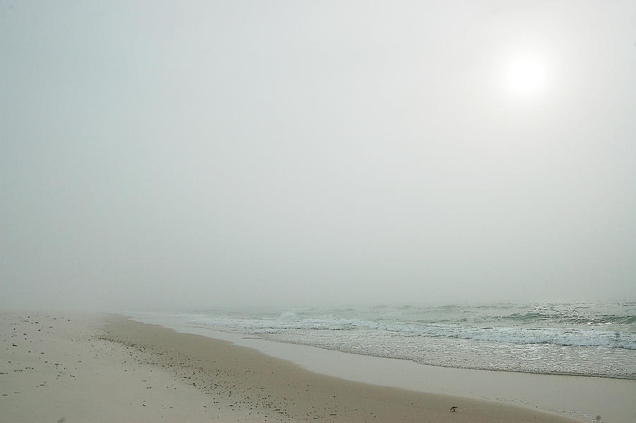 Foggy Beach Digital Art By Michael Thomas