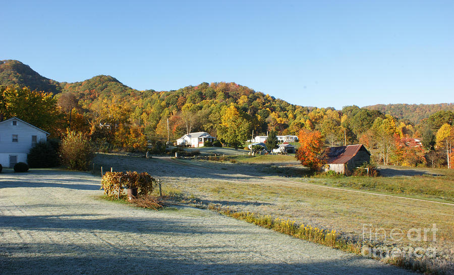  - frosty-morning-terry-hoss