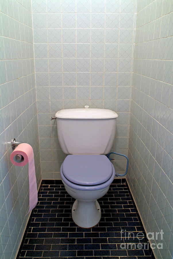 Pink Toilet Paper