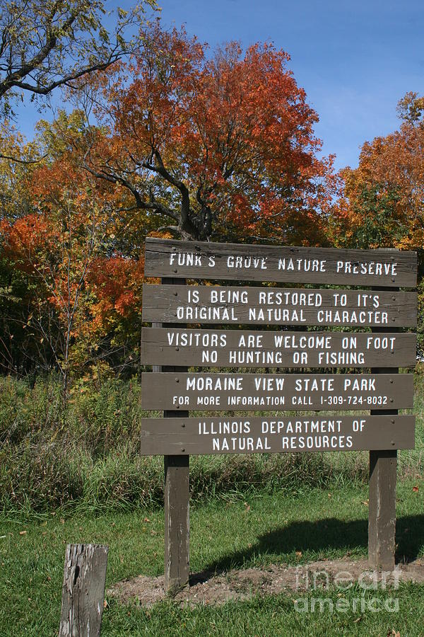 funks grove 7 photograph by roger look funks grove 7 photograph by roger look