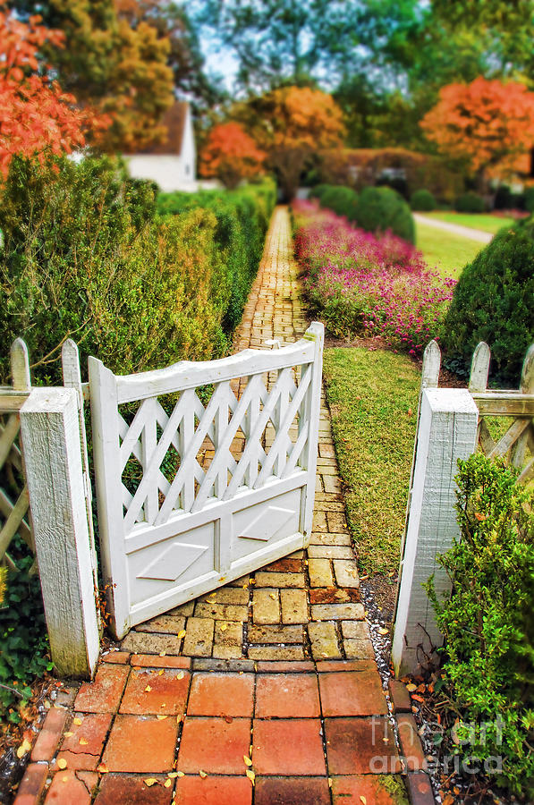Gate And Path