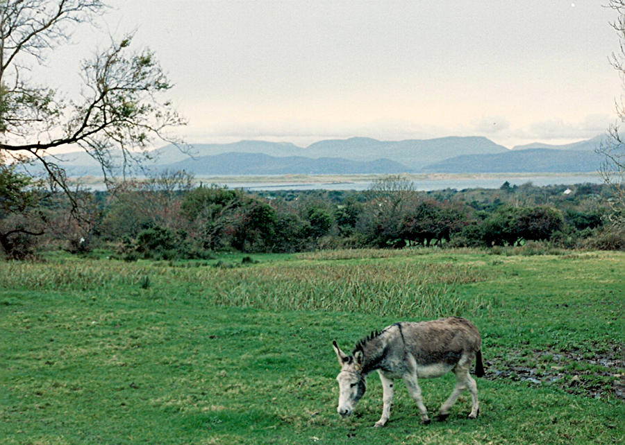 Glenbeigh Ireland