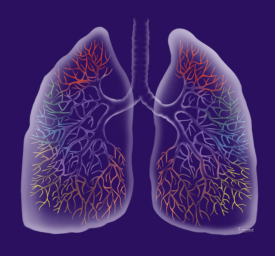 breath lungs