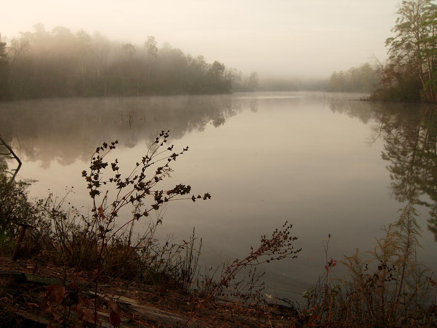  - goddins-pond-morning-fog-jim-newman