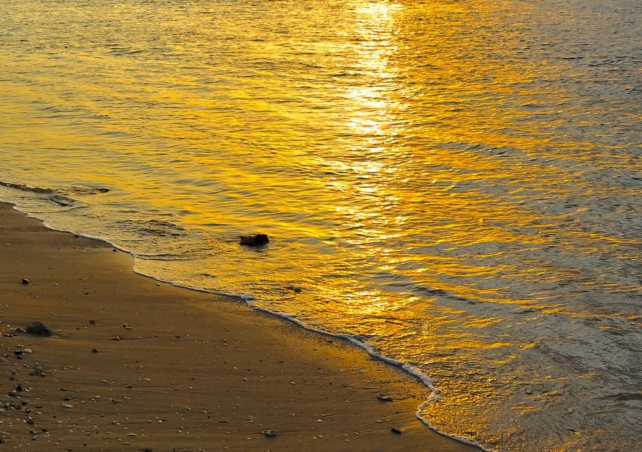 Golden Beach Sunset by Stephen Anderson