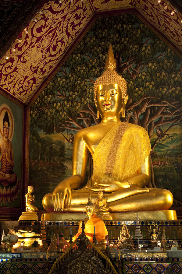 one piece golden buddha