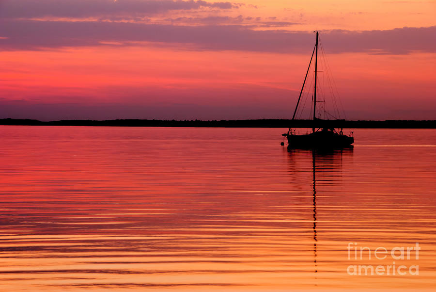  - golden-water-steve-savoie-