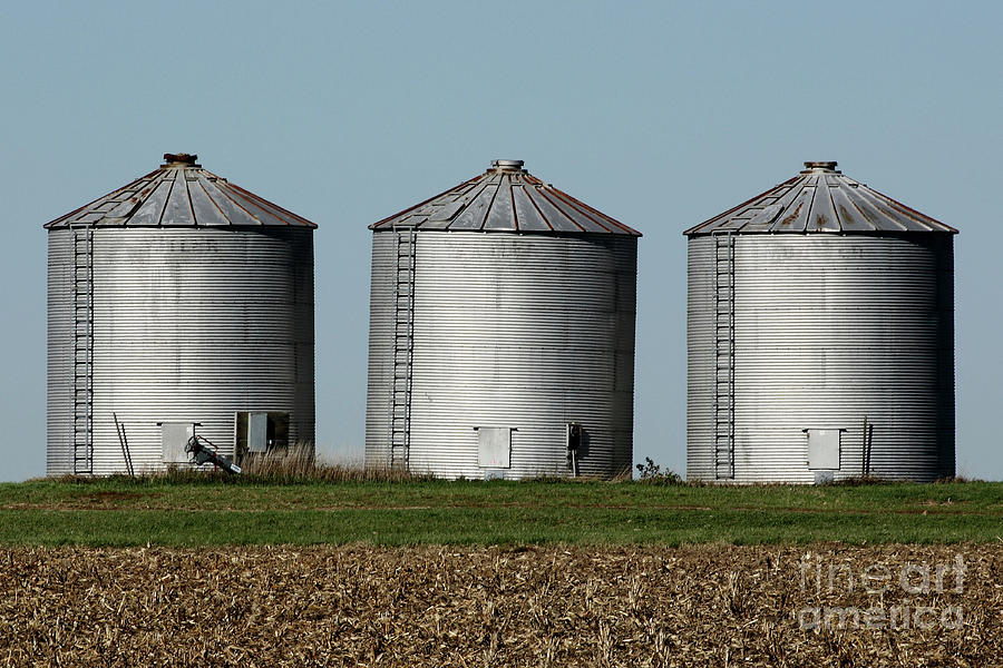 Grain Bin