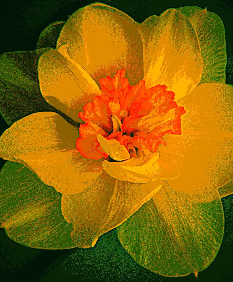 Graphic Daffodil