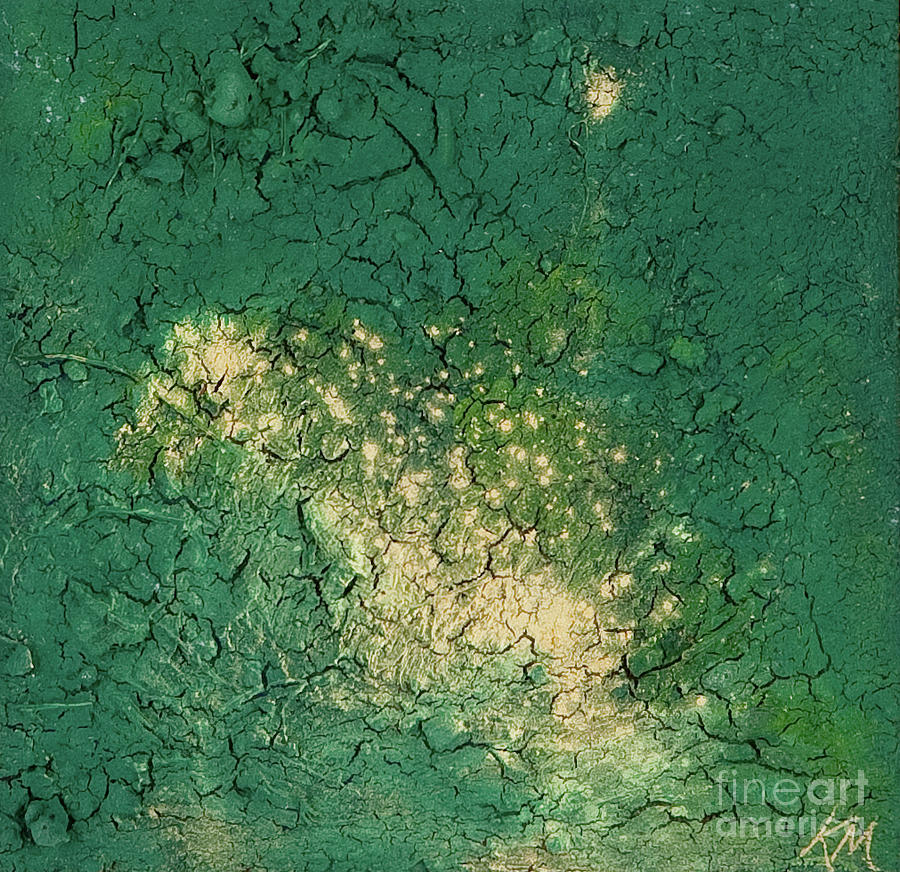 earth portrait of a planet 4th edition pdf