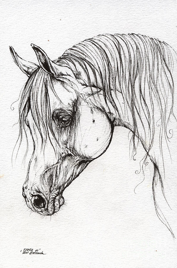 Good Horse Drawing