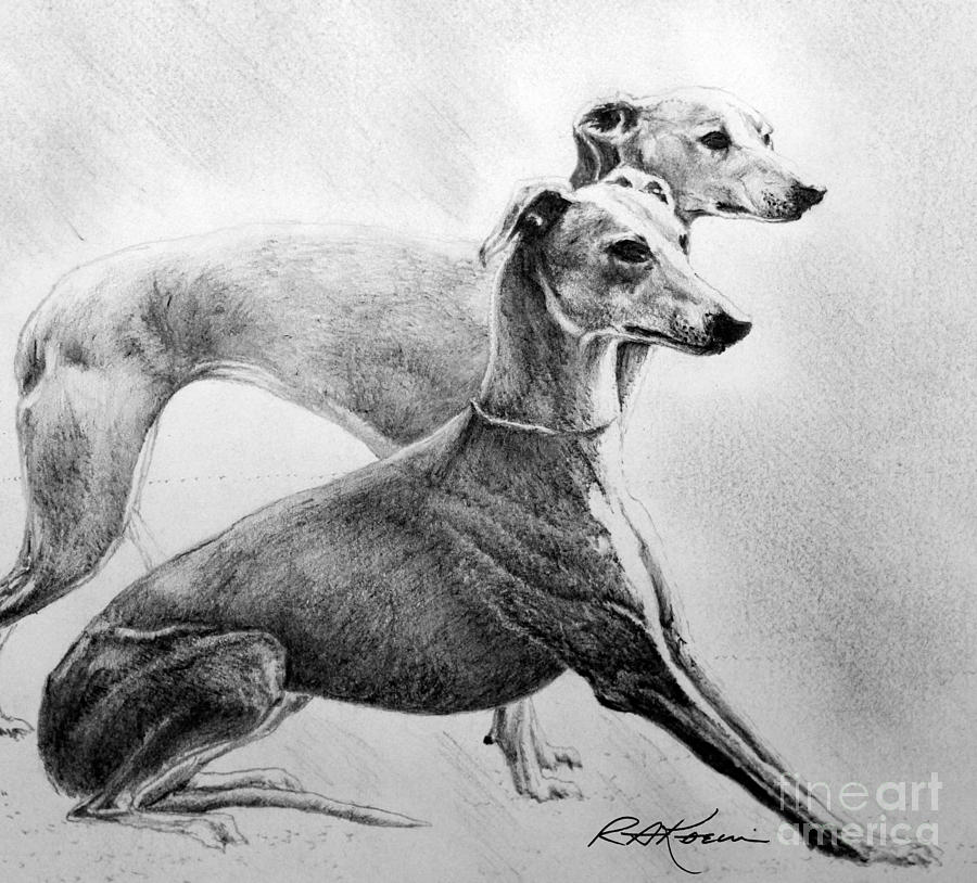 Greyhounds by Roy Kaelin Greyhound art, Greyhound, Canine art