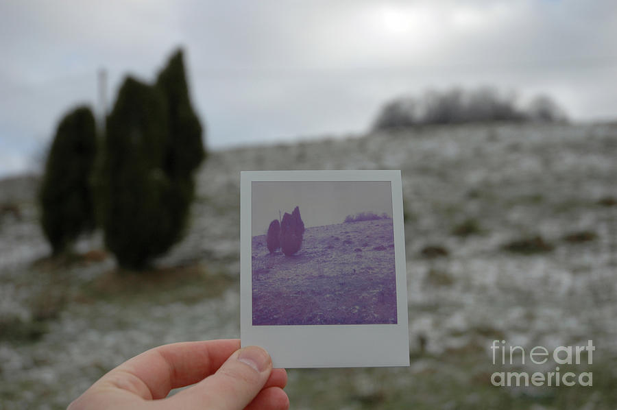 Hand Polaroid