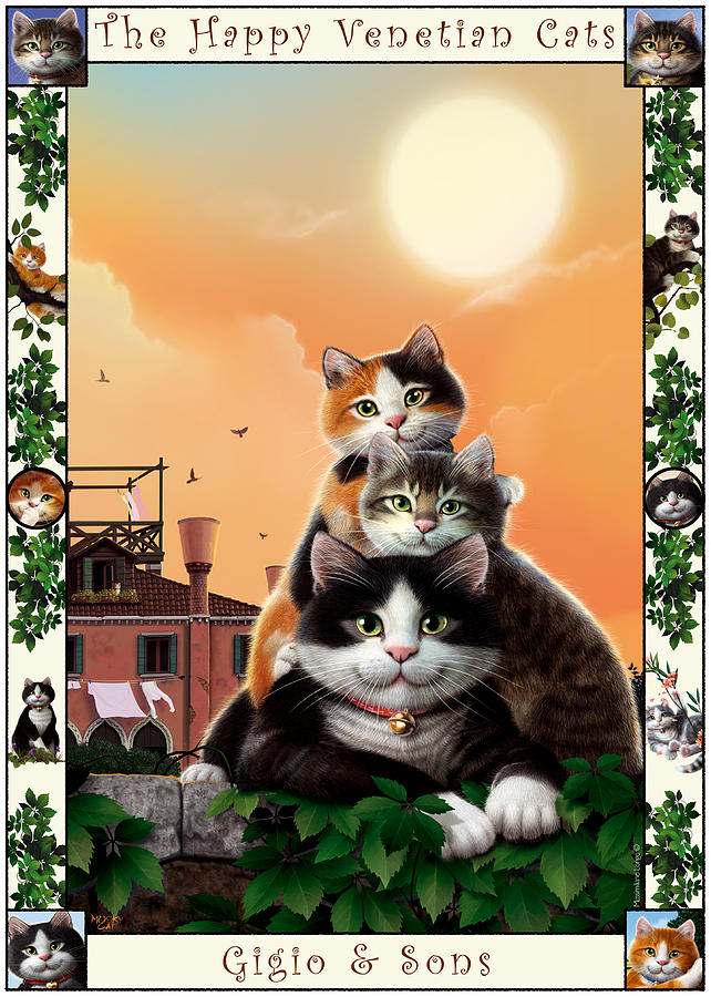  - happy-venetian-cats-01-massimiliano-longo