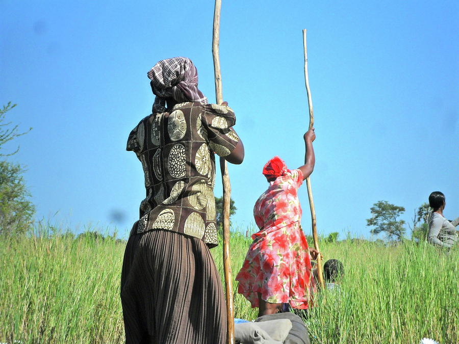 women hard working